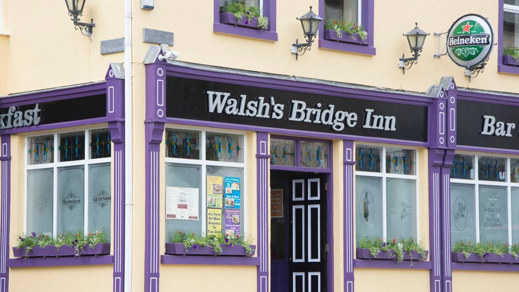 Walsh'S Bridge Inn ニューポート エクステリア 写真
